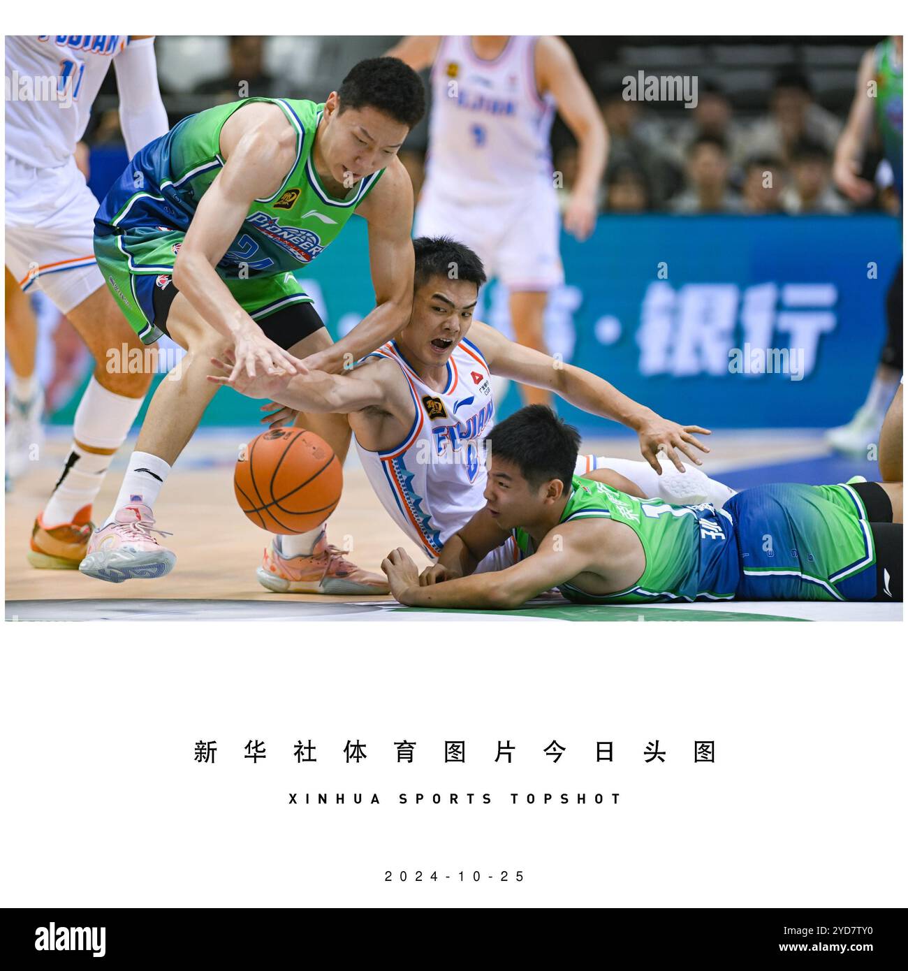 西涅和洛萨