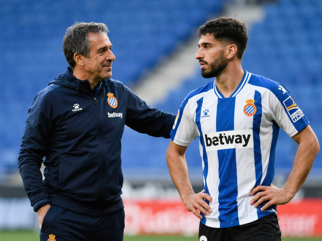 具有洞察力 具有洞察力