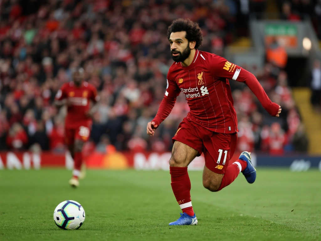 不仅挽救了 不仅挽救了