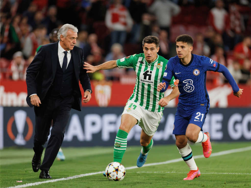 仅带来了精 仅带来了精